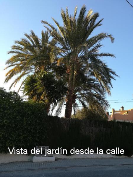 Sun & Palm Trees Leilighet Balsares Eksteriør bilde